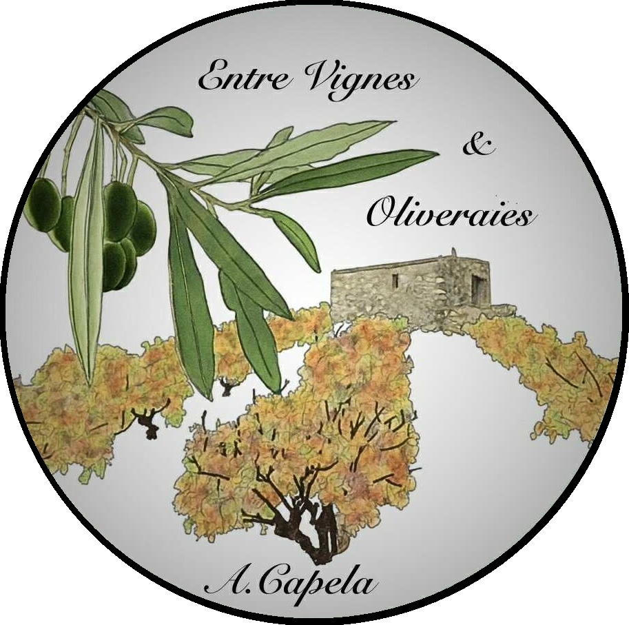 Entre vignes et oliveraies